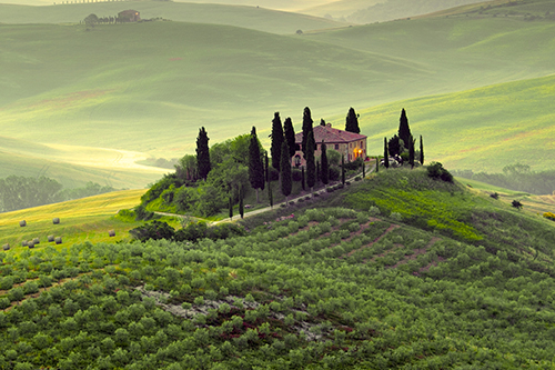 Il suo compito è quello di promuovere e validare i valori “agricoli” della filiera etica e sostenibile attraverso